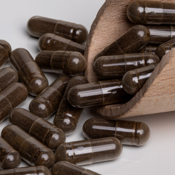 Czerwona Koniczyna 60 kaps. 2