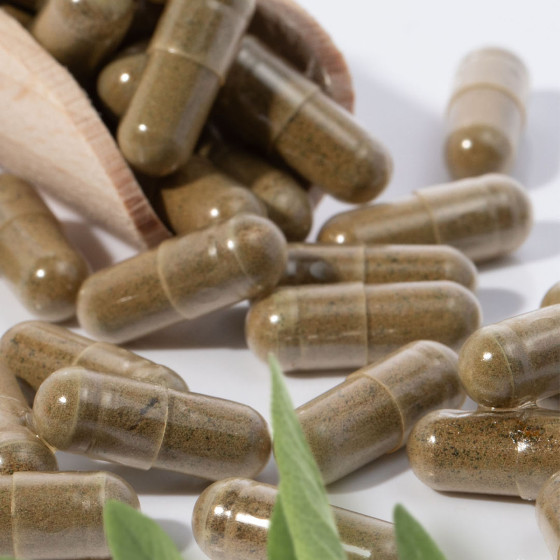 Ashwagandha 60 kaps. 2