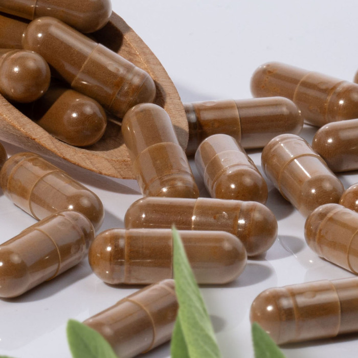 Mumio Shilajit  60 kaps.