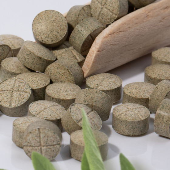 Na zdrowy i mocny sen 100 tabl. wege 2